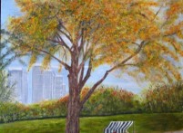 The Food Cart Man, Central Park, NYC