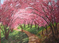 Cherry Blossoms, Central Park, NYC