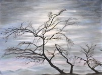 Bare Tree in The Negev, Israel