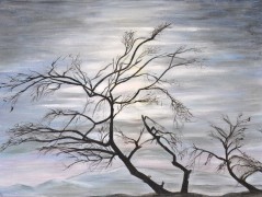 Bare Tree in The Negev, Israel>