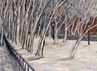 Snow Scene at Park Theodor Roosevelt Park, NYC