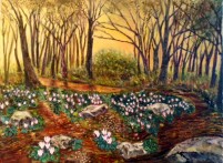 Cyclamen in The Wood