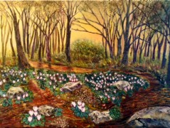 Cyclamen in The Wood>