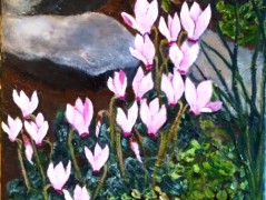 Cyclamens>