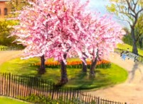 Blossom in Theodor Roosevelt Park