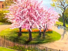 Blossom in Theodor Roosevelt Park>