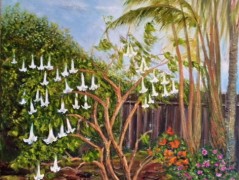 Angel Trumpet tree>